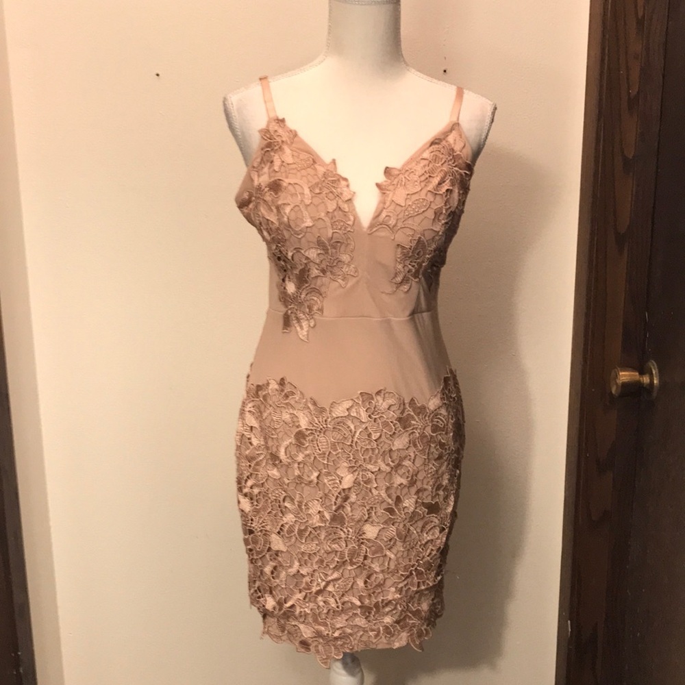 Windsor lace front dress peach